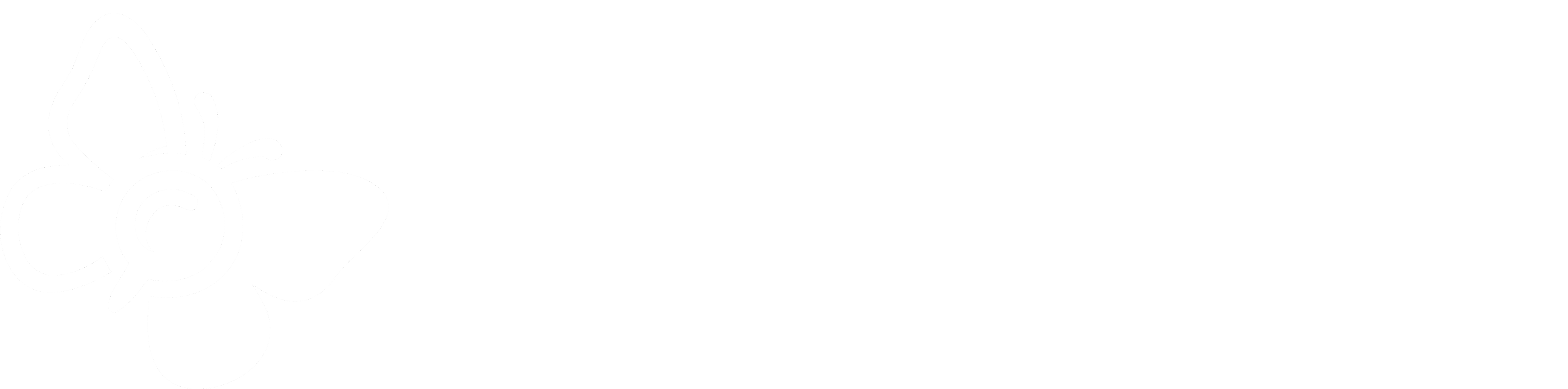 Firdaus Fann